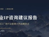 王通：商业IP重构线下1v1咨询精华分享（干货...